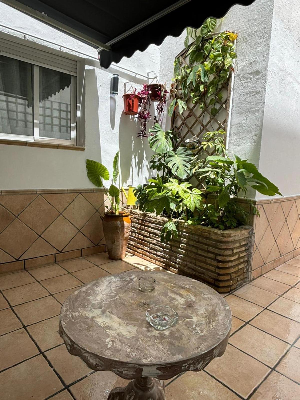 Panther Home Pureza — Photos 2